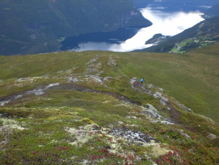Ja genau, das braune da ist der Weg!