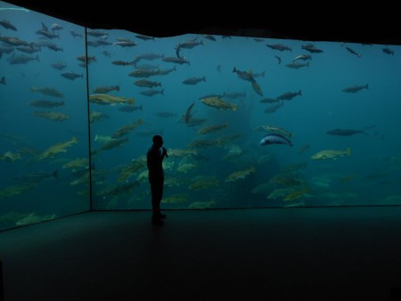 Das ist mal ein Aquarium