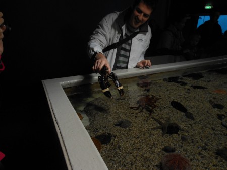 Der kleine Peter und der Sebastian beim spielen:-)