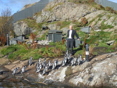 Abendkleidung obligat!