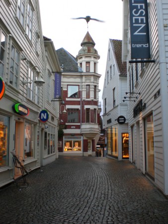 Stavanger Altstadt. (Die Möwe an der Kirchturmspitze ist Zufall;-))
